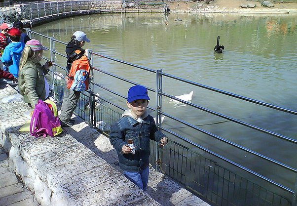 A Quick Guide to Volunteering on School Trips