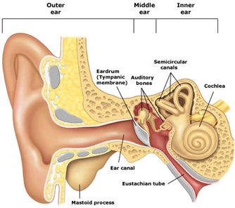 Glue Ear