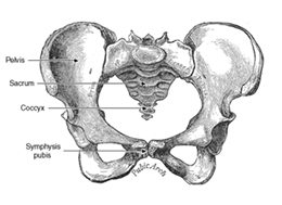 PGP – Pelvic Girdle Pain
