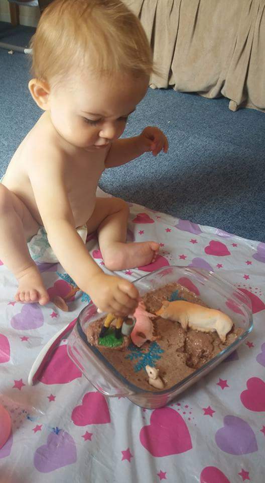 Angel Delight Pigs Mud