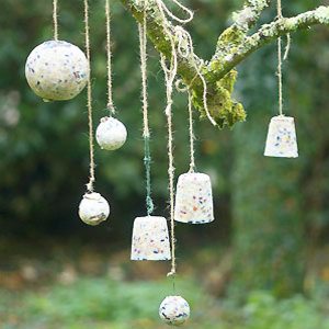 Bird Feeding Station