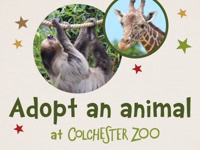 Colchester Zoo Animal Adoptions