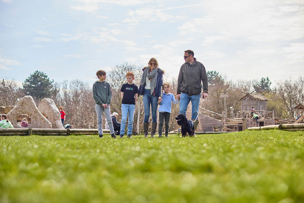 Explore Essex: Top Dog Walks in Essex Revealed