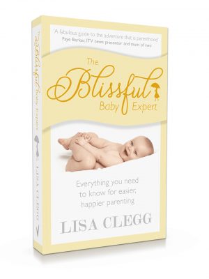 The Blissful Baby Expert Book