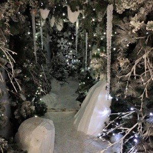 Props and Frocks Ice Kingdom Experience