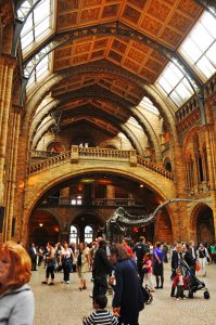 5956130015_9989621d93_b