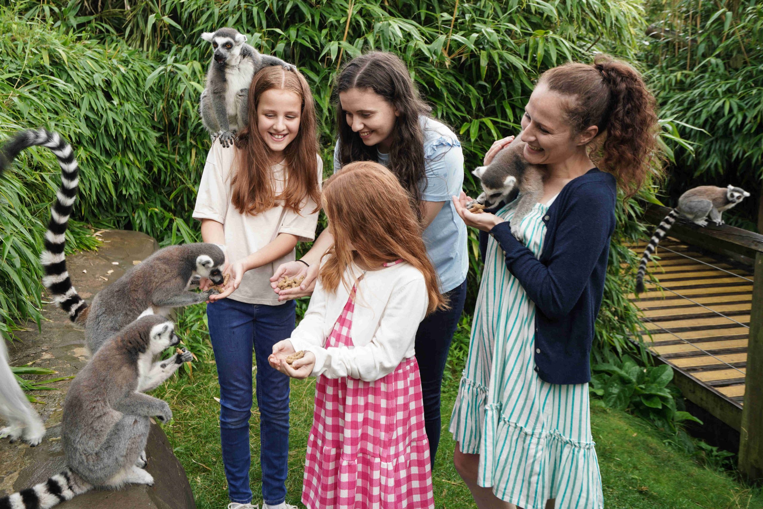 Family with animals at Colchester Zoo