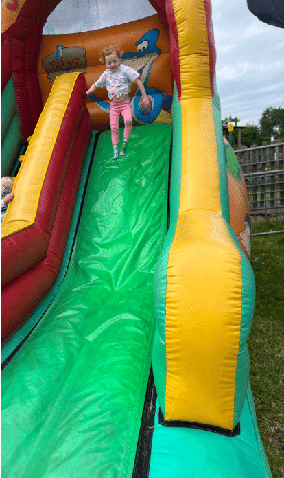 Lee Valley Animal Adventure Park Slide