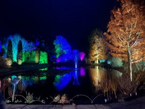 Essex Mums visit Glow at Hyde Hall. Lit trees surrounding a pond at night.