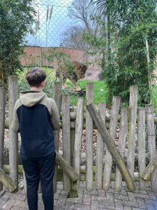 Colchester Zoo Essex Mums Review