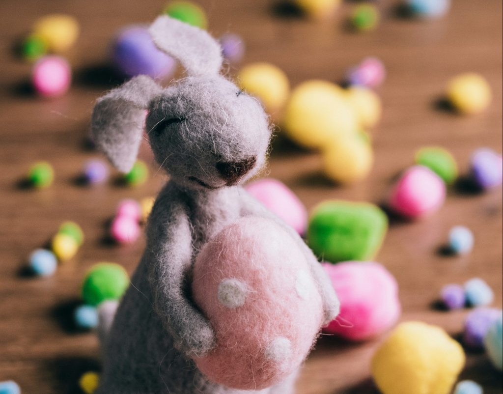 bunny teddy and easter eggs hunt