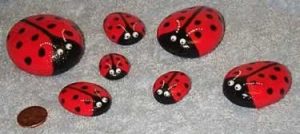 ladybirds